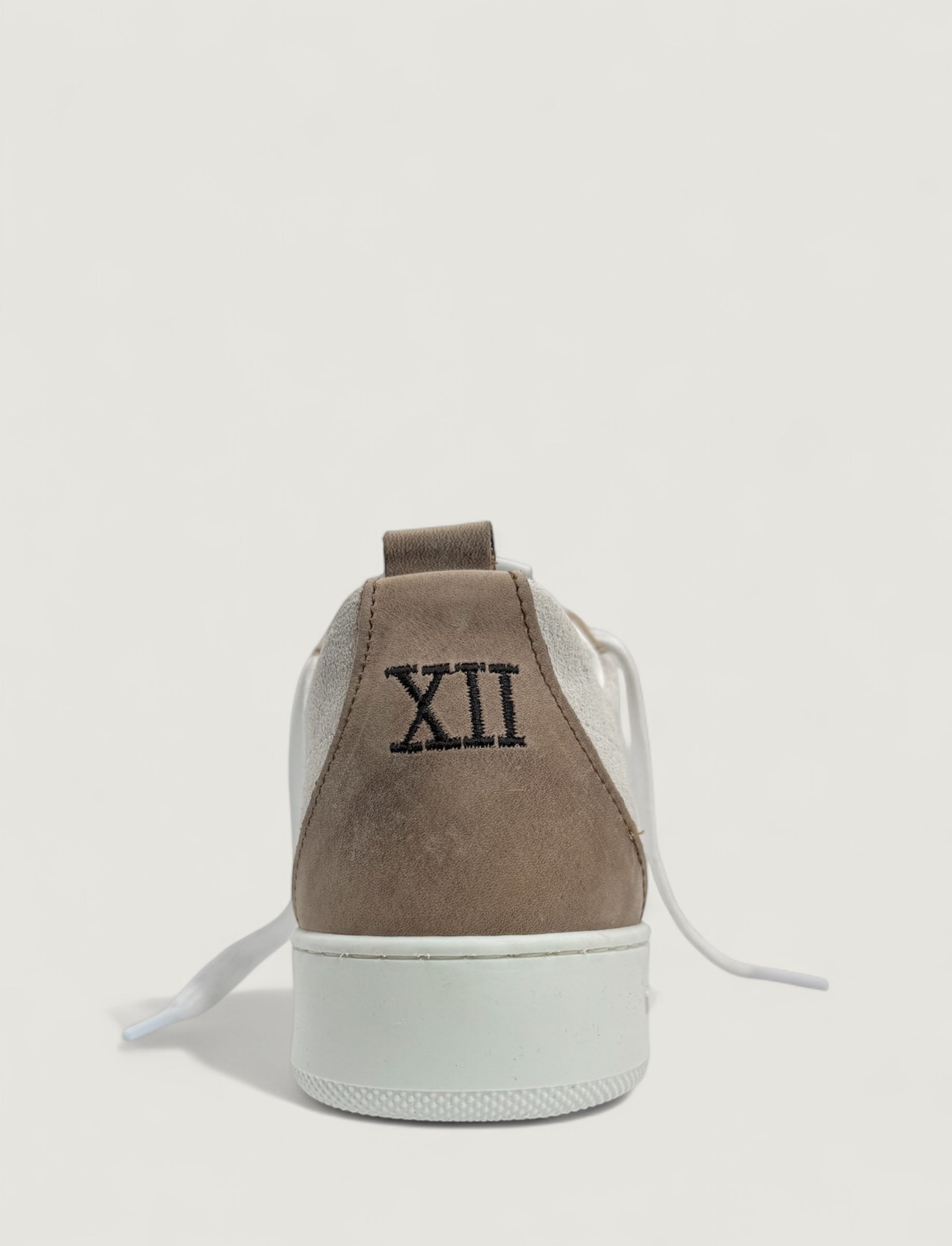 TWELVE JUMP COLORE 24